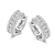 Zilver Wit