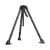 NoColour