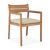 Teak