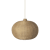 Belly