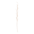 Palm leaf