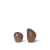 Bruin