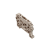 NoColour