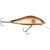 Bream
