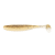Golden shiner
