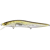 GG Il Tennessee Shad