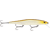Ghost Minnow