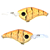 Craw Orange