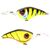 Fluoro Perch