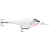 Glass Ghost