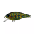 Real Sunfish