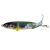 Abalone Shad