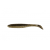 Arkansas Shiner
