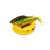 NoColour