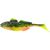 Fire Goby