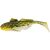 Headlight Goby