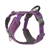 purple passion