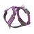 purple passion