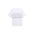 light blue desert design