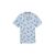 light blue desert design