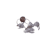 Grijs