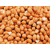 nvt