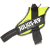 neon