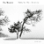 NoColour