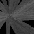 NoColour