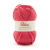 ROSE DES SABLES