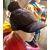 NVT