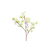 NoColour