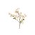 NoColour