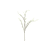 NoColour