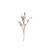 NoColour