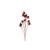 NoColour