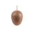 NoColour