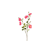 NoColour