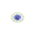 NoColour