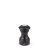 NoColour