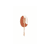 Dark Orange
