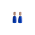 Cobalt/Taupe