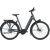 ANTHRACITE GREY GLANS