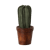 NoColour
