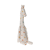NoColour
