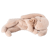 NoColour
