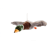 NoColour