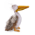 NoColour