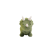 NoColour