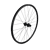 NoColour
